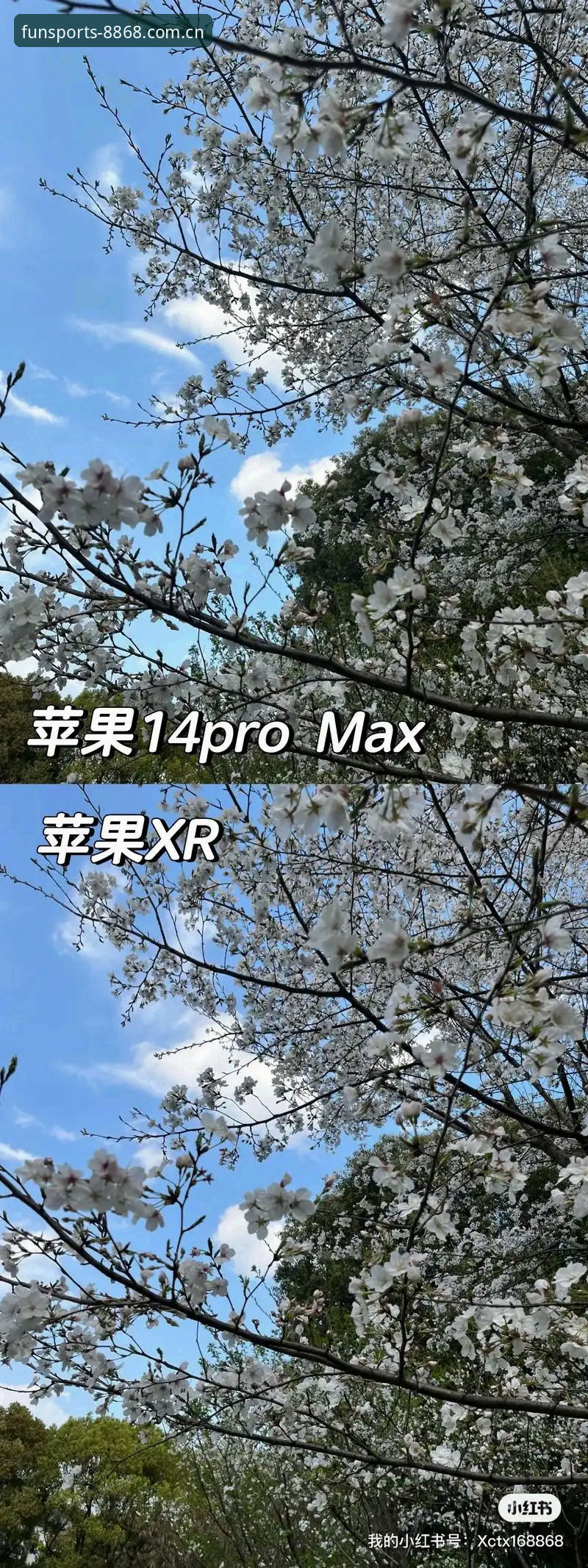 8868体育平台最新动态：官网地址安装失败常见问题与解决方案全解析