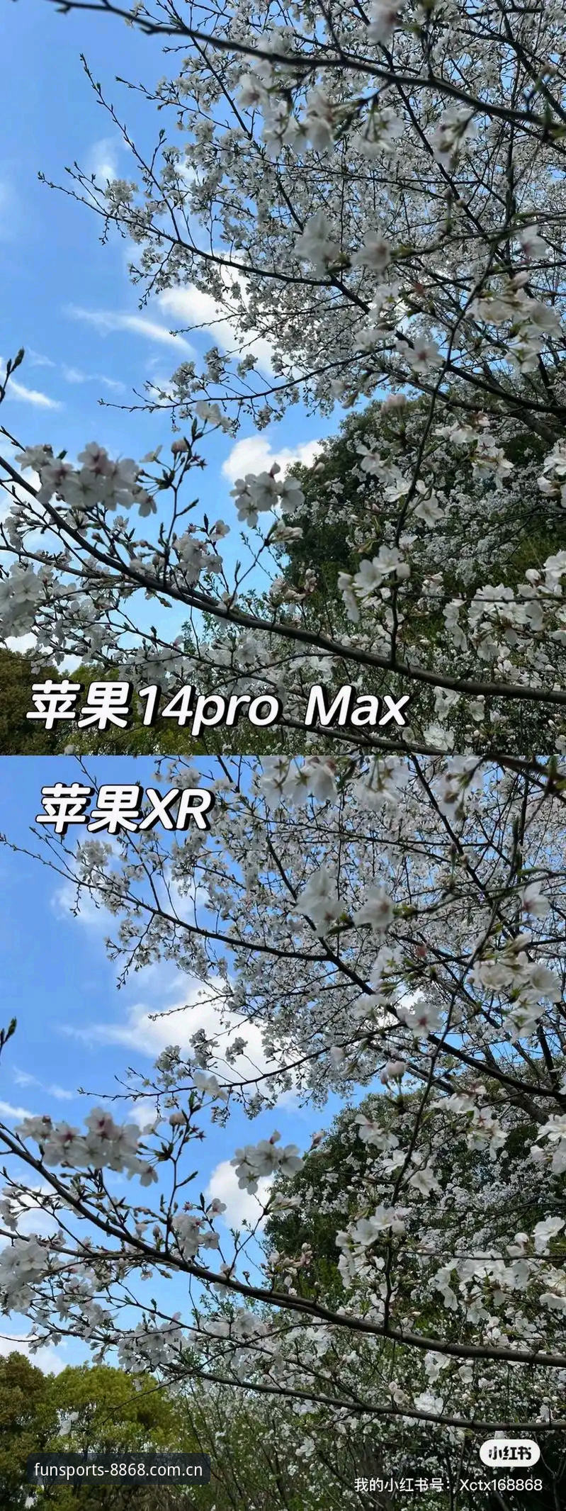 体育怎么下载最新版 8868体育平台最新版下载详解:老用户教你一步到位